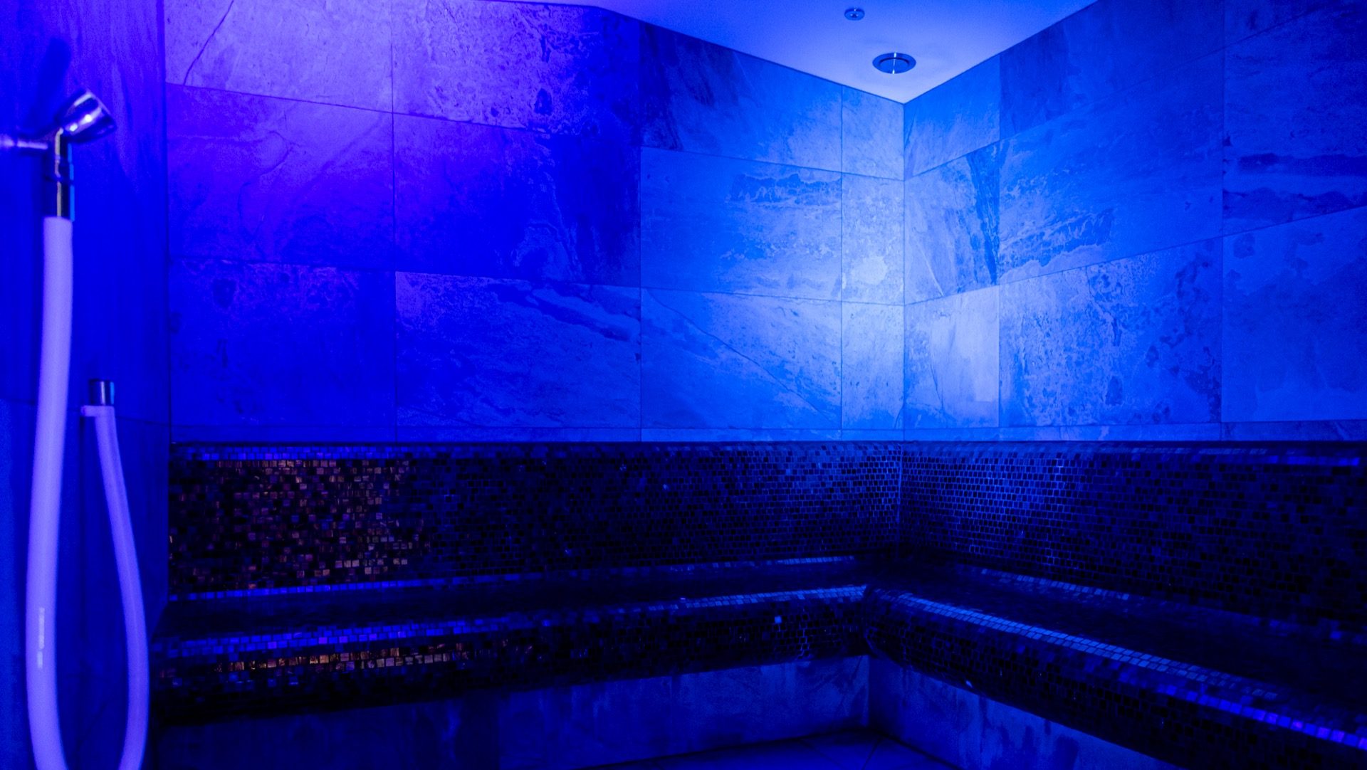VIENNA HOUSE_DNA_@alicestellaph28